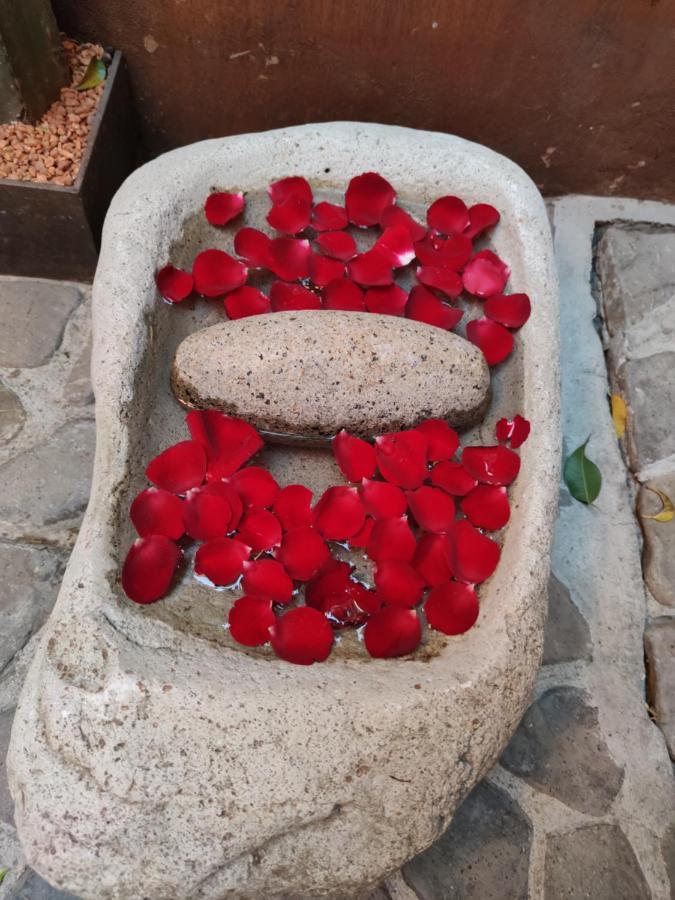 Casa Carmen Reforma Ξενοδοχείο Oaxaca Εξωτερικό φωτογραφία