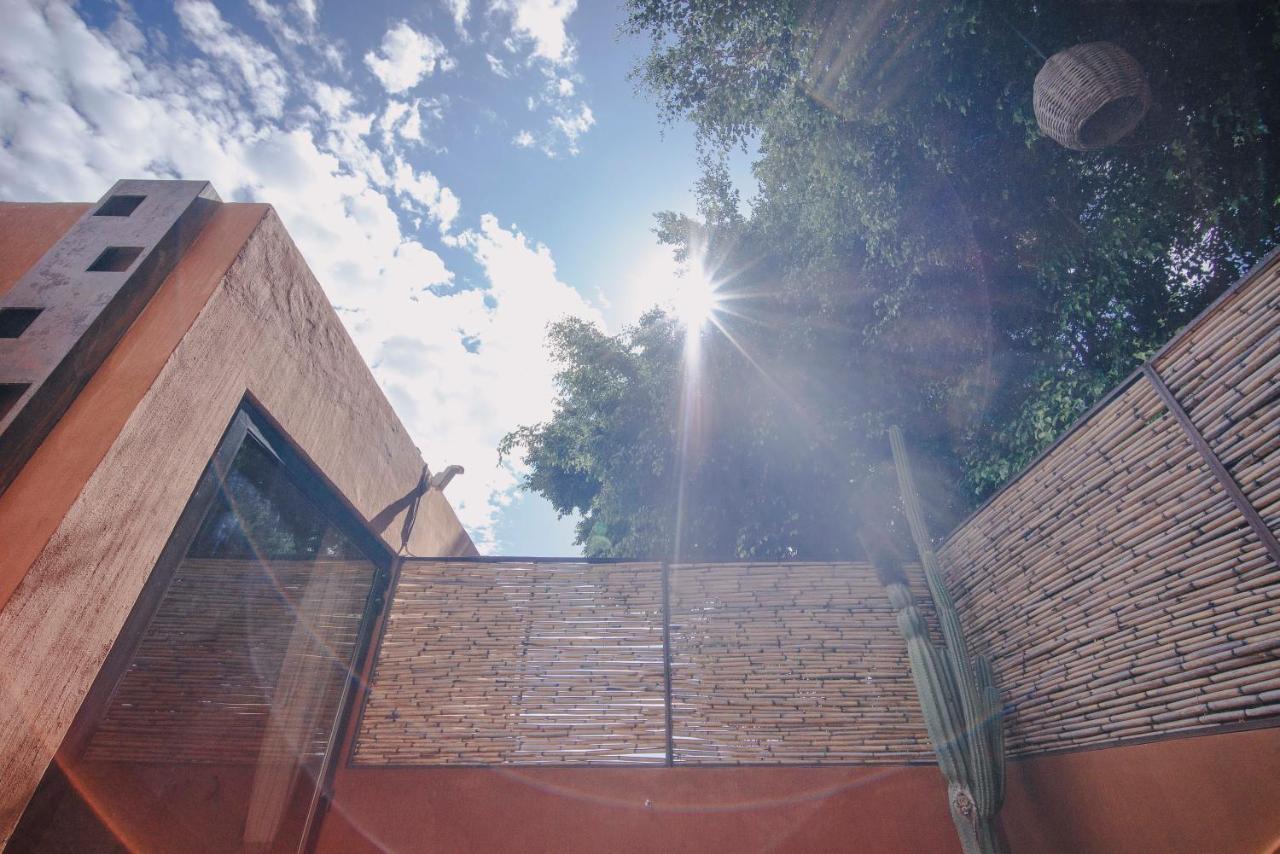 Casa Carmen Reforma Ξενοδοχείο Oaxaca Εξωτερικό φωτογραφία
