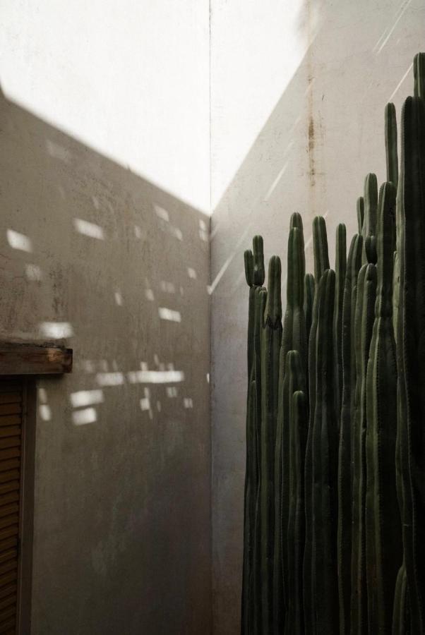 Casa Carmen Reforma Ξενοδοχείο Oaxaca Εξωτερικό φωτογραφία