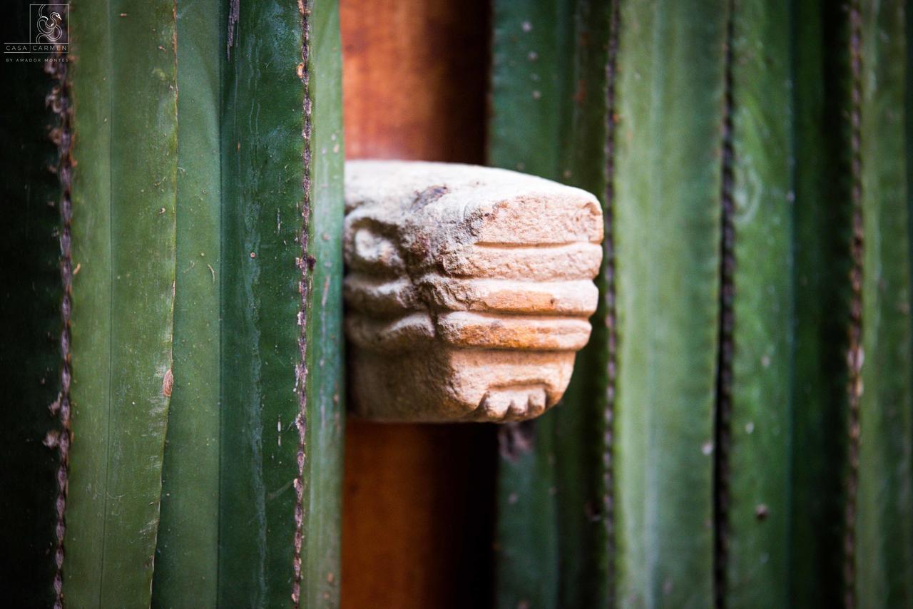Casa Carmen Reforma Ξενοδοχείο Oaxaca Εξωτερικό φωτογραφία