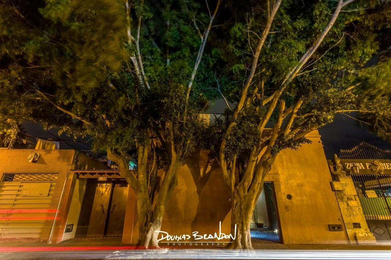 Casa Carmen Reforma Ξενοδοχείο Oaxaca Εξωτερικό φωτογραφία