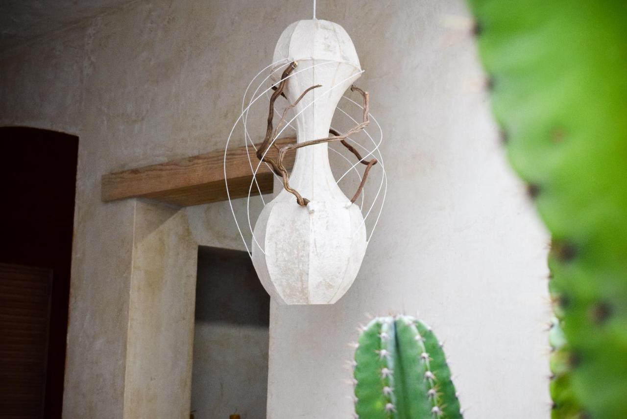 Casa Carmen Reforma Ξενοδοχείο Oaxaca Εξωτερικό φωτογραφία