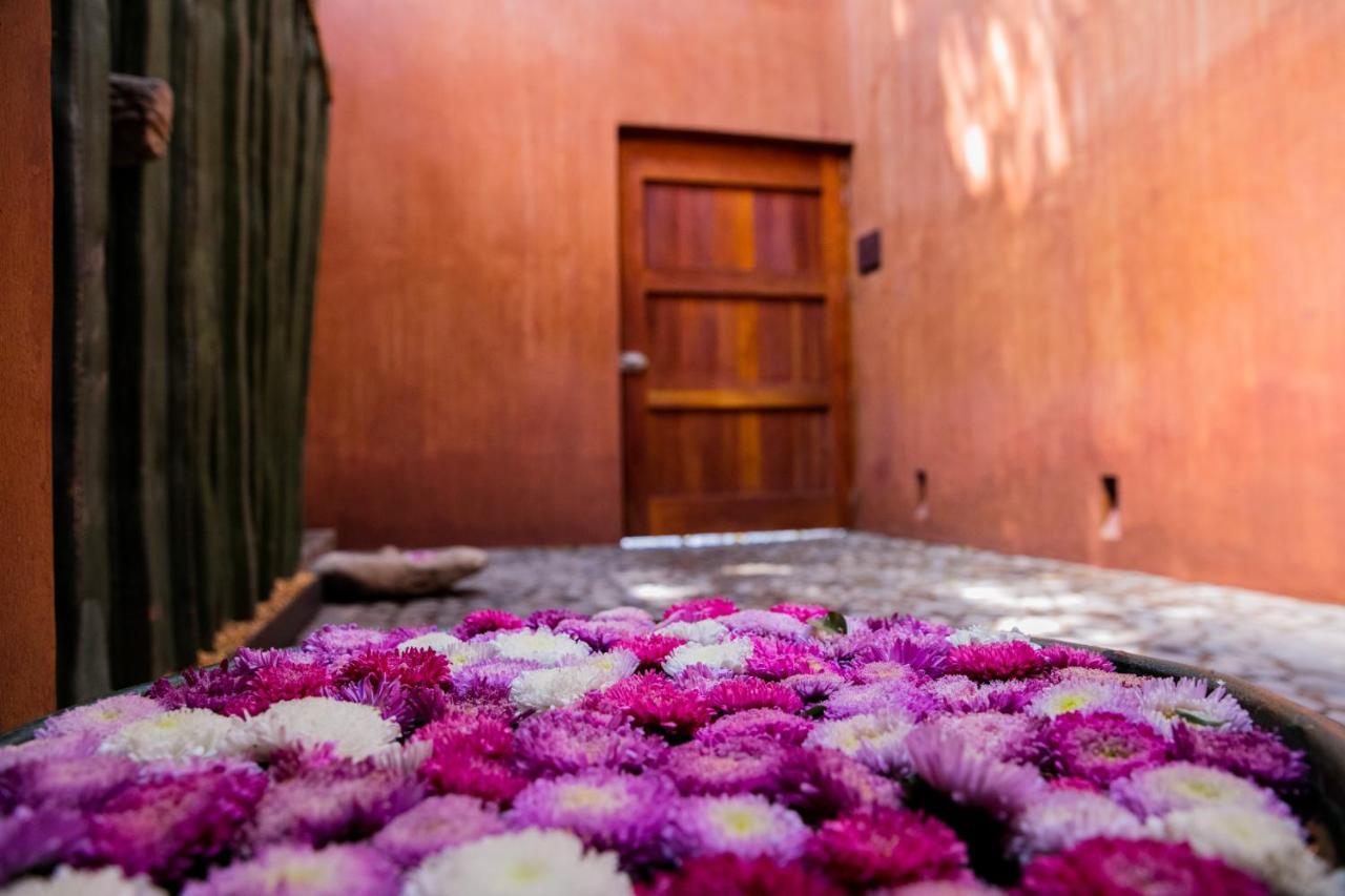 Casa Carmen Reforma Ξενοδοχείο Oaxaca Εξωτερικό φωτογραφία